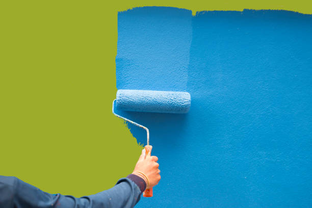 Best Environmental Consulting for Mold Prevention  in Kansas City, MO